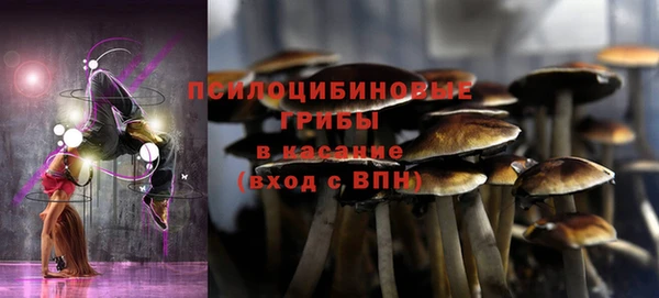 молекула духа Балахна