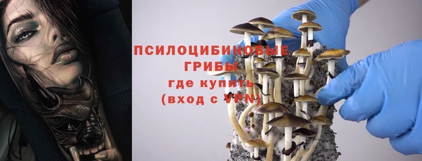 молекула духа Балахна