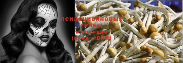 молекула духа Балахна