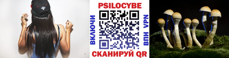даркнет клад  Волгореченск  Галлюциногенные грибы мухоморы  дарнет шоп 